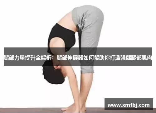 腿部力量提升全解析：腿部伸展器如何帮助你打造强健腿部肌肉